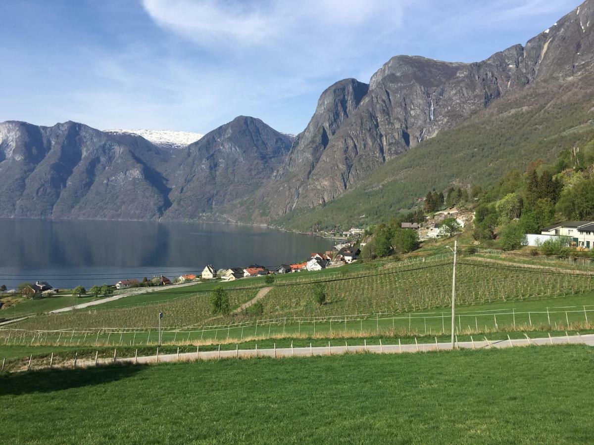 Winjum Apartments Aurland Stegastein Exterior photo